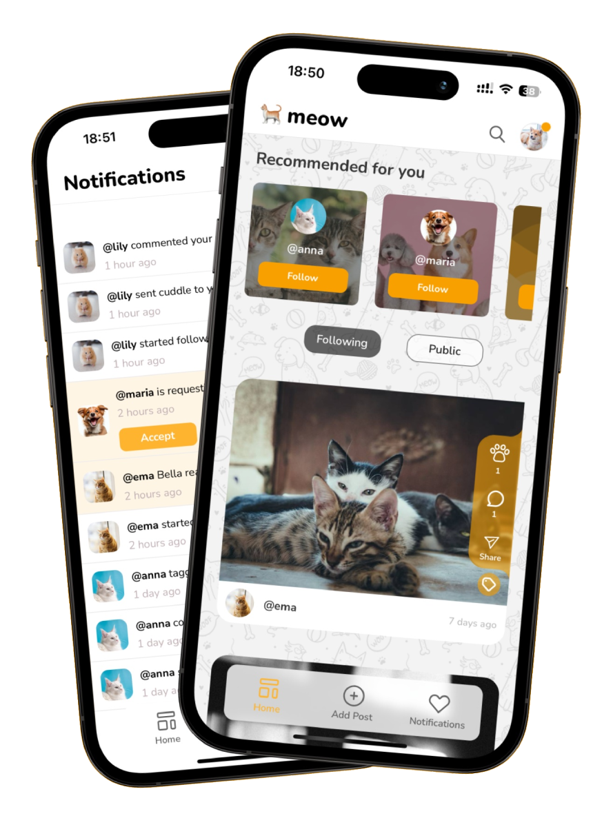 Petigo.app